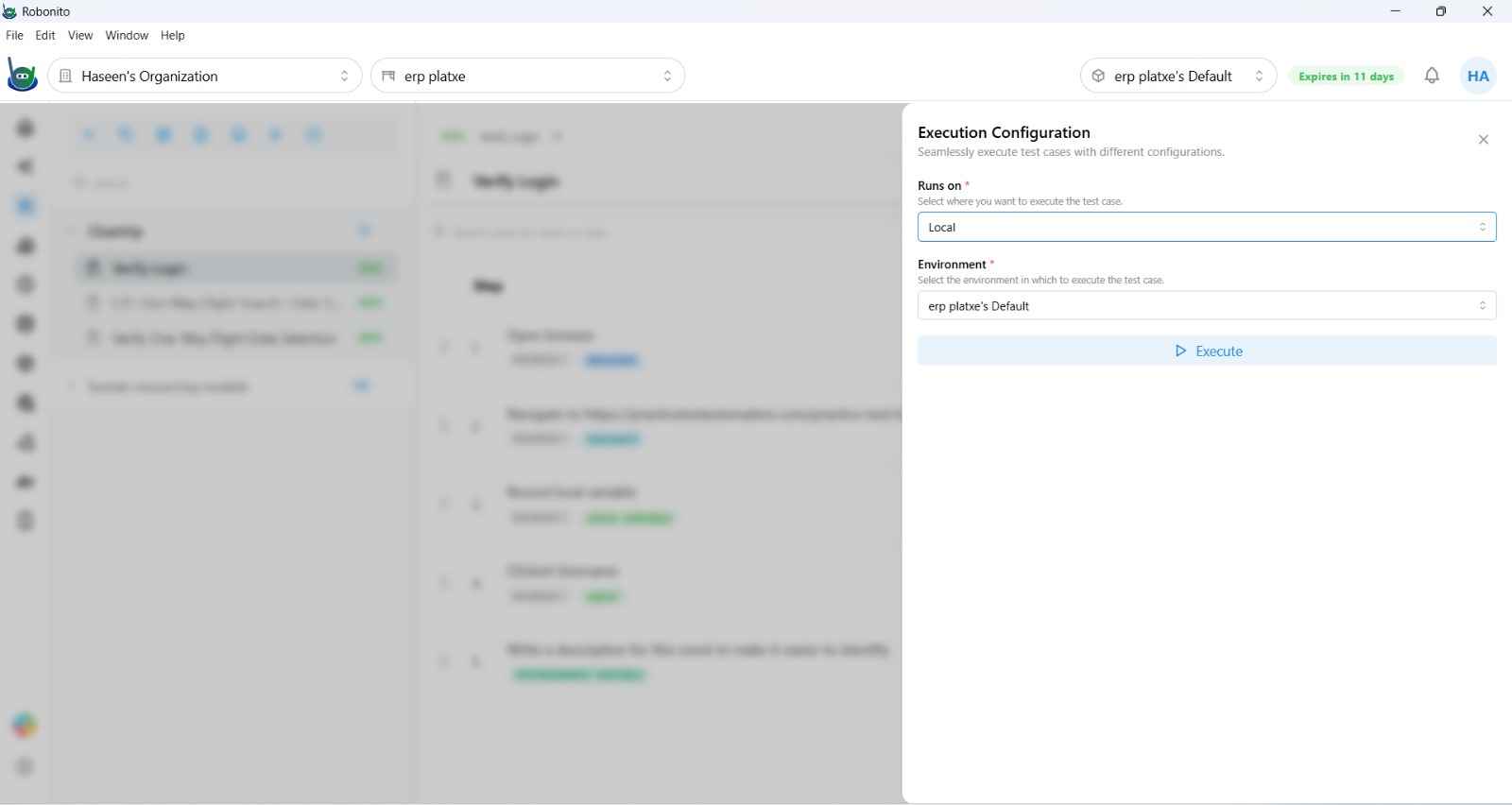 Execution dialog with Local selected, Environment dropdown highlighted, and Run button
